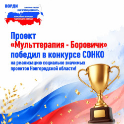 Победа в конкурсе СОНКО - проект &laquo;Мульттерапия - Боровичи&raquo;